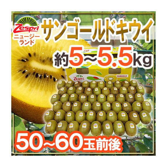 ゼスプリ ”サンゴールドキウイ” 50～60玉前後 約5〜5.5kg【予約 4月下旬以降】 送料無料