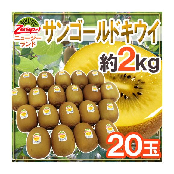 ゼスプリ ニュージーランド ”サンゴールドキウイ” 20玉 約2kg【予約 4月下旬以降】 送料無料
