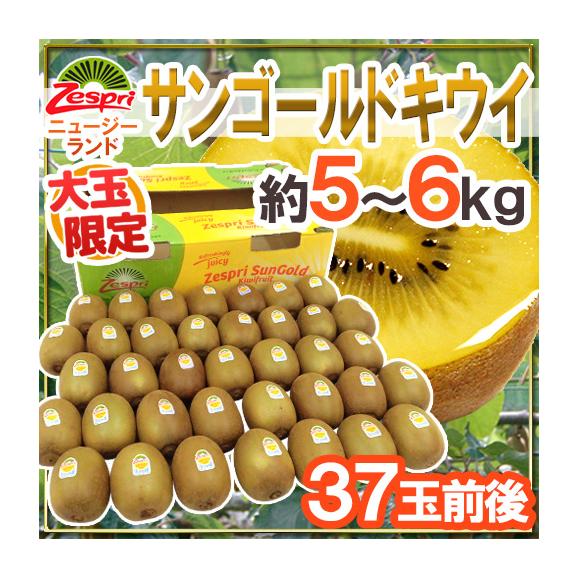 ゼスプリ ”サンゴールドキウイ” 大玉 37玉前後 約5〜6kg【予約 4月下旬以降】 送料無料