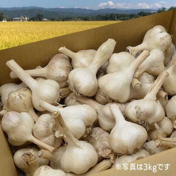 《根・土つき》山形の生にんにく約5kg