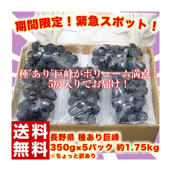 長野県産　巨峰 約350g×5パック 約1.75kg ちょっと訳あり ※常温 送料無料