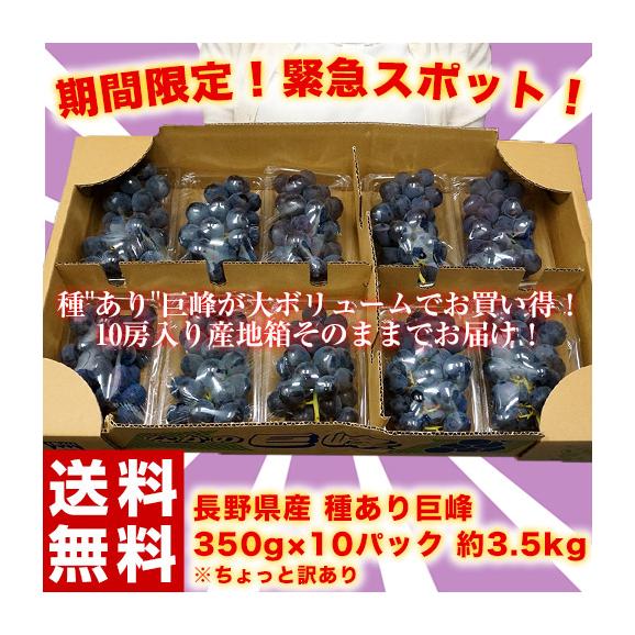 長野県産 巨峰 約350g×10パック 約3.5kg ちょっと訳あり ※常温 送料無料