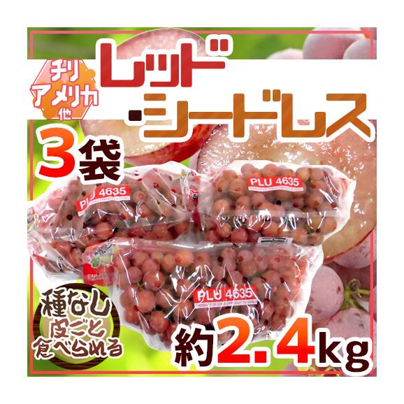 種なしぶどう ”レッドシードレス” 3袋 約2.4kg ちょっと訳あり チリ・アメリカ産他 赤ぶどう【予約 入荷次第発送】 送料無料
