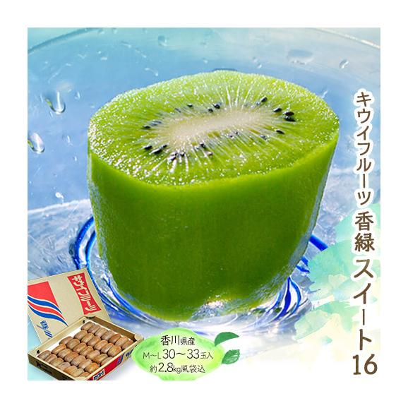 『香緑（こうりょく) スイート16』キウイフルーツ 香川県産 L～M 風袋込 約2.8kg（30～33玉） 産地箱 ※常温 送料無料