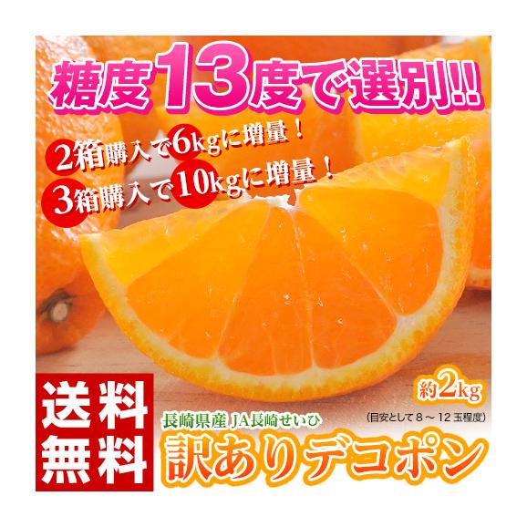 訳あり品 長崎県産　デコポン 約2kg（目安として8～12玉程度）送料無料 ≪2箱購入で1箱分増量、3箱購入で2箱分増量≫　常温
