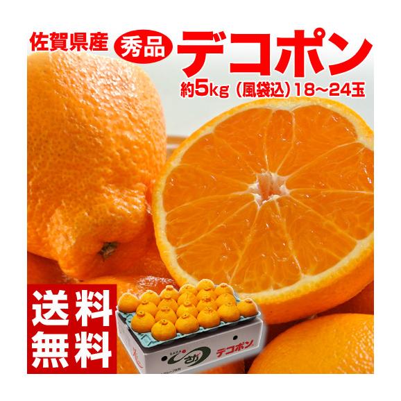 佐賀県産 デコポン 秀品 18～24玉　風袋込約５kg 送料無料