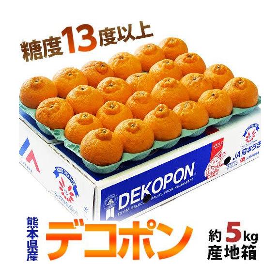 デコポン 糖度13度 熊本県産 柑橘 約5kg 18～24玉　無印　産地箱入 常温 送料無料 みかん デコポン