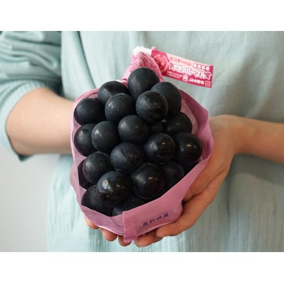 大房4L『ナガノパープル』長野県産ぶどう 秀 2房 計1.2～1.4kg 簡易箱 ※冷蔵 送料無料