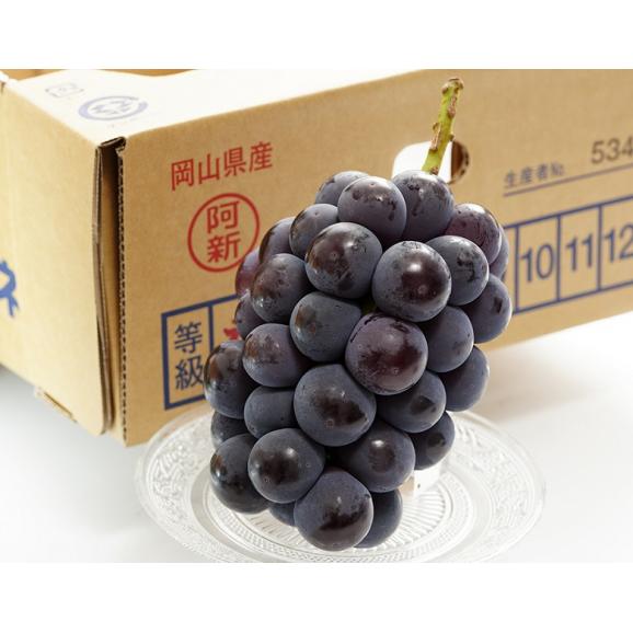阿新の『大房ニューピオーネ』岡山県産　1房　約700g　※冷蔵 送料無料