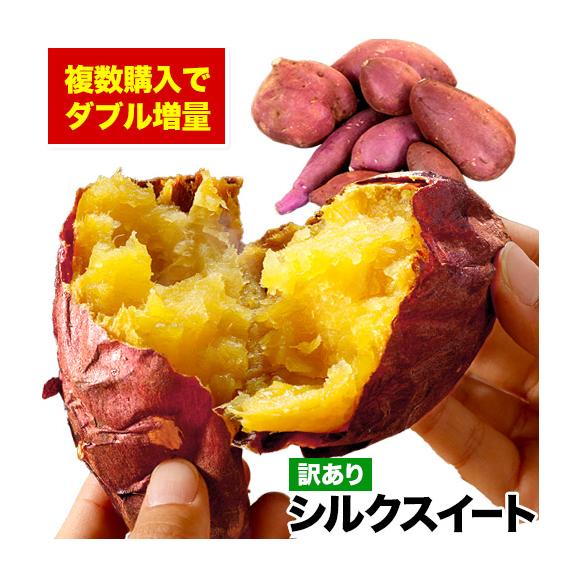 さつまいも シルクスイート 訳あり 熊本県産 送料無料 1.5kg サイズ不揃い 芋 スイーツ お取り寄せ 1-5営業日以内に出荷予定(土日祝日除く)