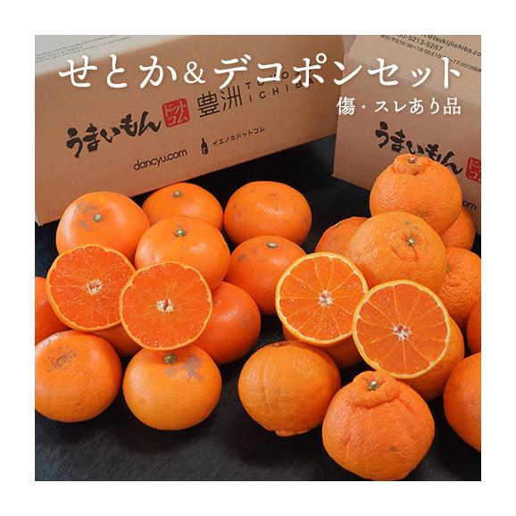 せとか ＆ デコポン セット ご自宅用 傷・スレあり品 計約4kg (各約2kg） 簡易箱 ※常温　送料無料