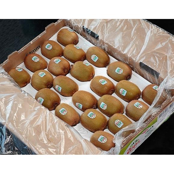 ニュージーランド産　ゼスプリ グリーンキウイ　大玉 22玉入り　約3.2kg ※常温　送料無料