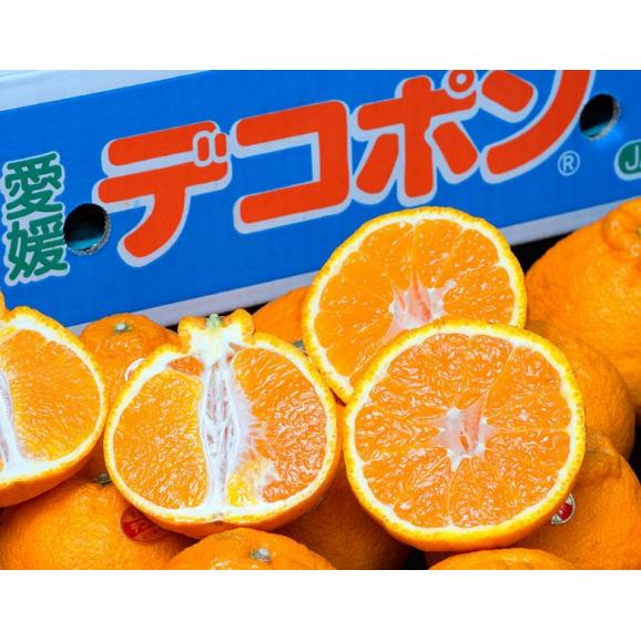 糖度13度以上 三崎 の デコポン 愛媛県産 優～秀 L～2L 風袋込 約5kg（20～24玉）産地箱 JAにしうわ ※常温 送料無料