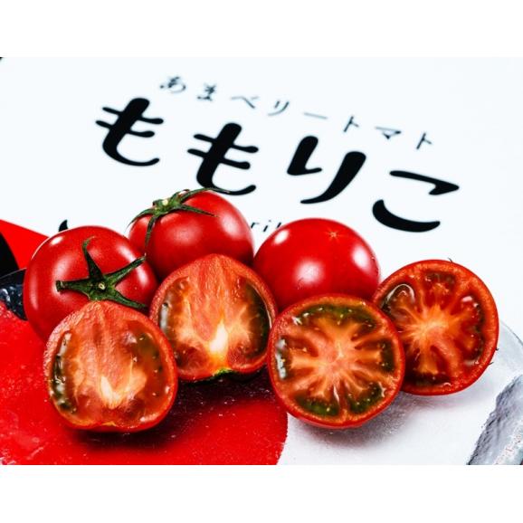糖度10度選別『ももりこトマト』徳島県産 特選 風袋込 約1kg （15～24玉） 化粧箱 樫山農園 ※常温