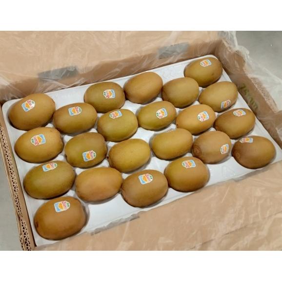 大玉　ゼスプリ　ゴールドキウイ 22玉入　約3.2kg オーガニック　ニュージーランド産　※常温　送料無料
