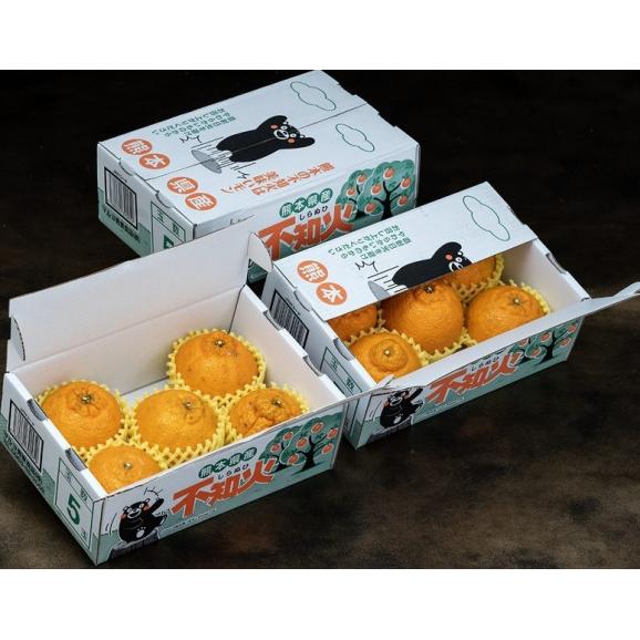 【3箱】『しらぬひ』 熊本県産　約1.5kg×3箱　合計約4.5kg（1箱：5～6玉）※常温　送料無料