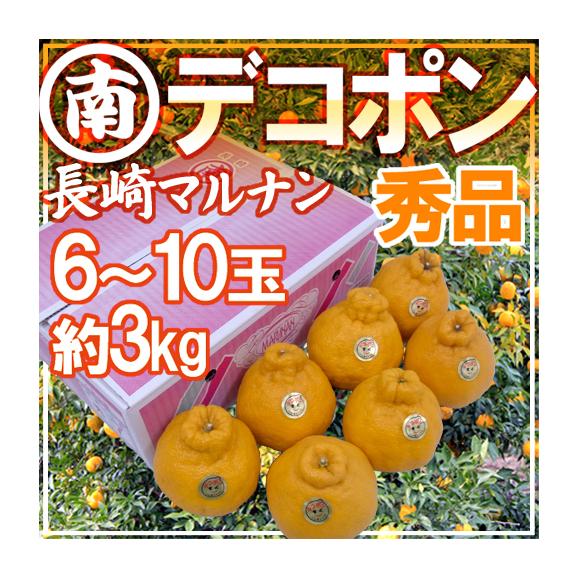 長崎産 ”マルナンデコポン” 秀品 6～10玉 約3kg【予約 3月以降】 送料無料
