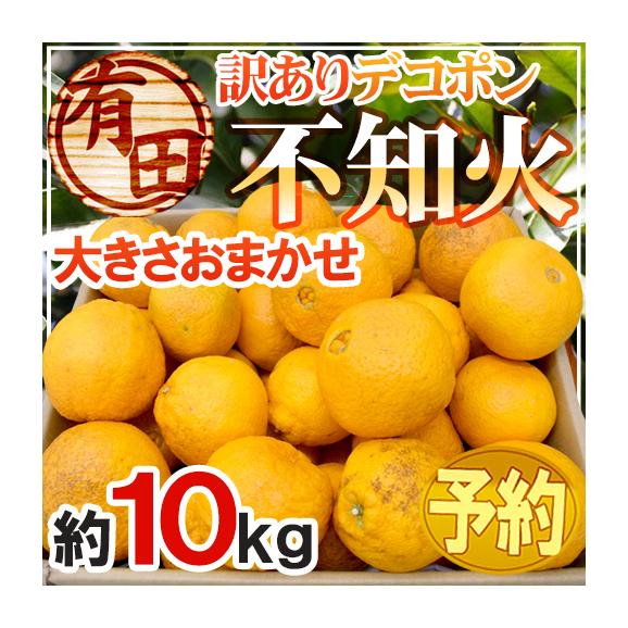 ”和歌山 有田産 不知火・しらぬい（訳ありデコポン）” 約10kg 大きさおまかせ【予約 2月下旬以降】 送料無料