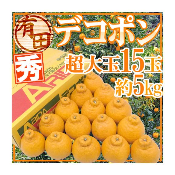 和歌山・有田産 ”デコポン” 秀品 超大玉 15玉 約5kg【予約 1月中旬以降】 送料無料