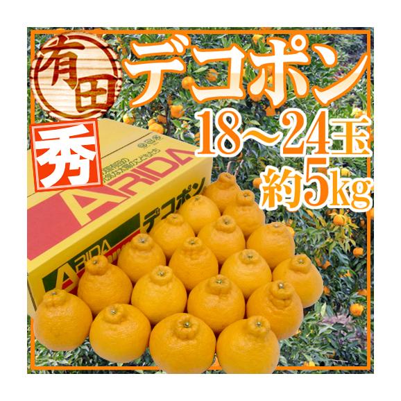 和歌山・有田産 ”デコポン” 秀品 18～24玉 約5kg【予約 1月中旬以降】 送料無料
