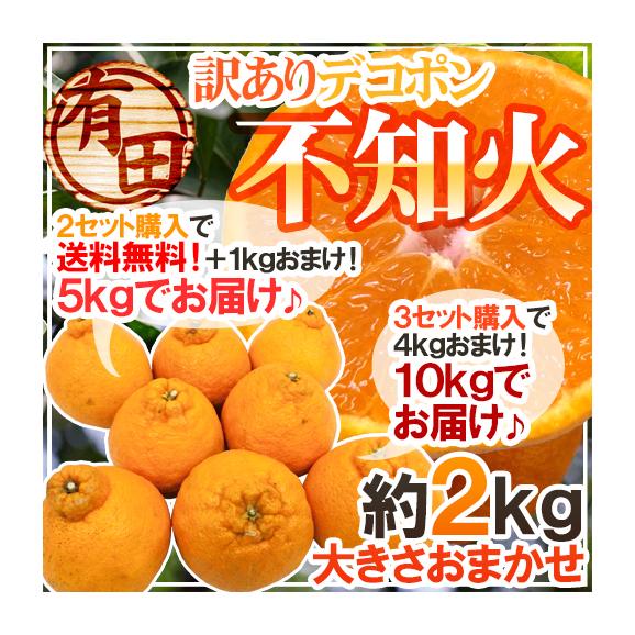 ”有田産 不知火・しらぬい（訳ありデコポン）” 約2kg 大きさおまかせ《2セット購入で送料無料＋1kgおまけ、3セット購入で4kgおまけ》【予約 2月下旬以降】