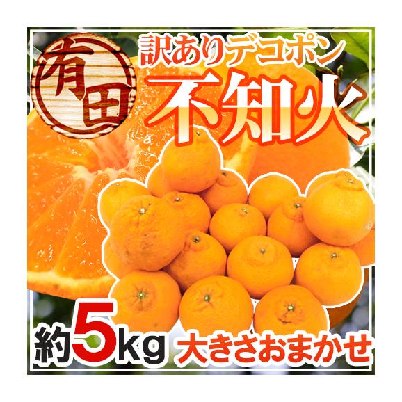 ”和歌山 有田産 不知火・しらぬい（訳ありデコポン）” 約5kg 大きさおまかせ【予約 2月下旬以降】 送料無料