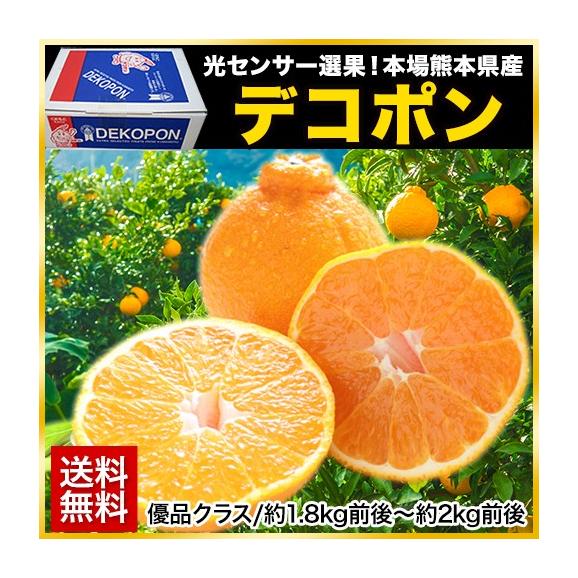 熊本県産 デコポン 優品 約1.8kg前後〜約2kg前後 送料無料 個別光センサー選果 高品質保証 贈答用 ギフト 3月中旬から4月上旬頃より発送予定