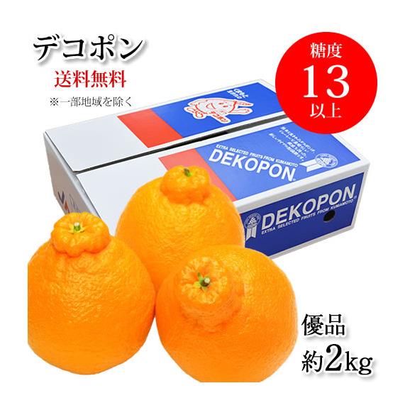 デコポン 熊本県産 約2.0kg 光センサー選果 12月中旬ごろより出荷【東北200円、北海道400円、沖縄・離島1000円の追加送料】