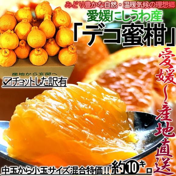 産地直送 デコ蜜柑 不知火 約10kg 中～小玉サイズ 愛媛県産 訳あり品 食べやすさと新鮮な甘酸っぱさ！デコポンと同品種のタンゴール、しらぬい