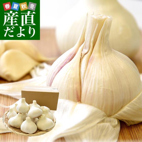 香川県より産地直送 JA香川県 生にんにく 2キロ (20玉から40玉前後) 送料無料 生ニンニク 大蒜 葫 香川にんにく