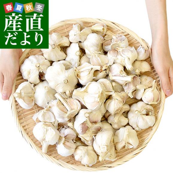 香川県から産地直送 JA香川県 訳ありニンニク 不揃い割れ品 約2キロ 送料無料 香川にんにく 大蒜 葫