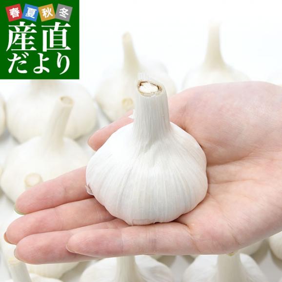 香川県から産地直送 JA香川県 ニンニク 秀品 約1キロ (目安として27玉前後) 送料無料  香川にんにく 大蒜 葫 讃岐 さぬき
