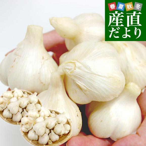 北海道から産地直送 赤井川村 滝本さんの有機JAS完熟にんにく どっさり2kg分（1キロ×2袋）送料無料 にんにく ニンニク 大蒜