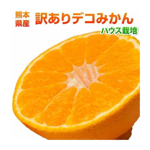 デコみかん 訳あり 熊本県産 1.5kg ハウス栽培 複数購入で特典満載 デコポンと同品種 ミカン 蜜柑