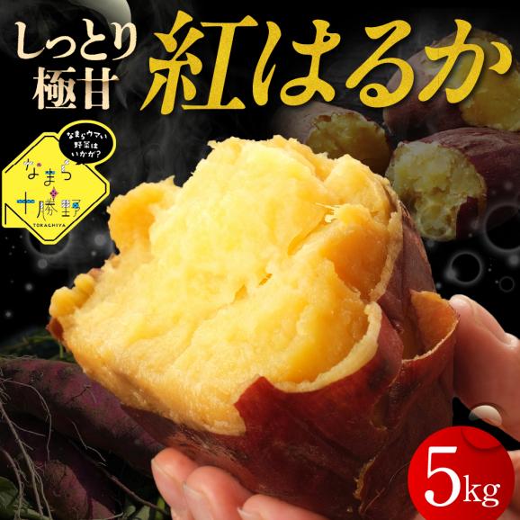 北海道十勝芽室町 なまら十勝野 芽室町産さつまいも【紅はるか】５㎏　me001-029c