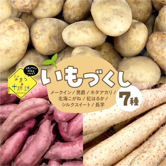 北海道十勝芽室町　なまら十勝野のいもづくし 7種 計4kg me001-048c