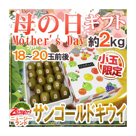 母の日ギフト ”ゼスプリ サンゴールドキウイ” 小玉 18～20玉前後 約2kg カーネーション造花付 ニュージーランド産【予約 5月3日～5月11日お届け予定】 送料無料