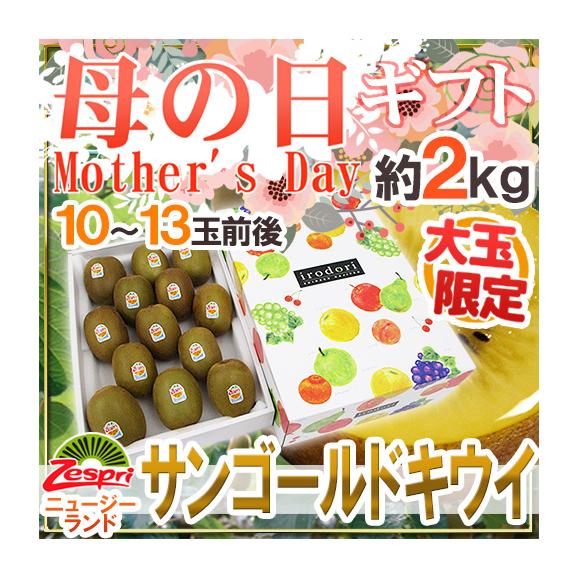 母の日ギフト ”ゼスプリ サンゴールドキウイ” 大玉 10～13玉前後 約2kg カーネーション造花付 ニュージーランド産【予約 5月3日～5月11日お届け予定】 送料無料