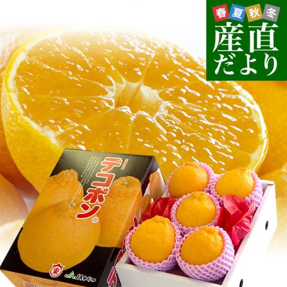 佐賀県産JAからつ デコポン 1.2キロ化粧箱（5玉から6玉入り） 送料無料 産直だより 唐津 でこぽん 柑橘 みかん オレンジ