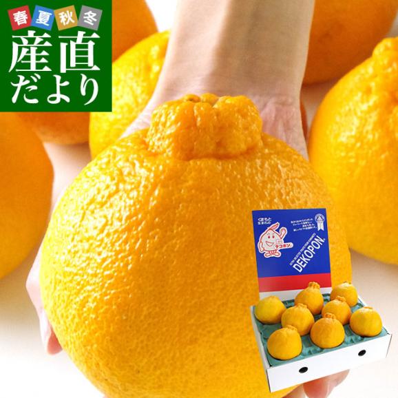 熊本県より産地直送 JAあしきた ハウス栽培 大玉デコポン （良品） 3キロ（7玉から8玉） 送料無料 でこぽん デコぽん 芦北 葦北