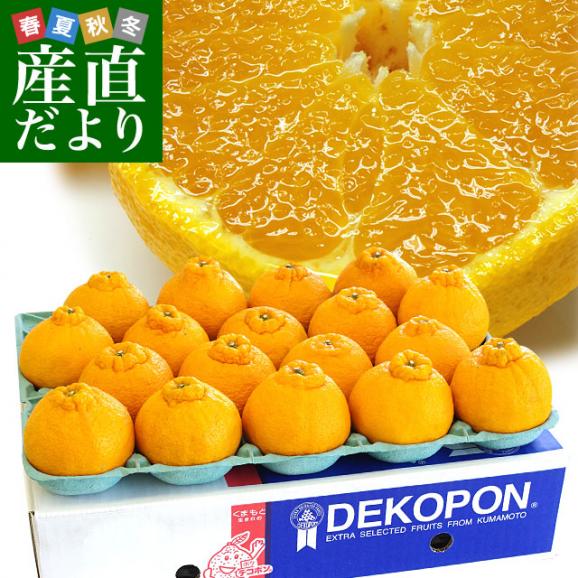 熊本県から産地直送 JAあまくさ デコポン３L 5キロ (18玉) でこぽん しらぬひ 不知火 天草 送料無料