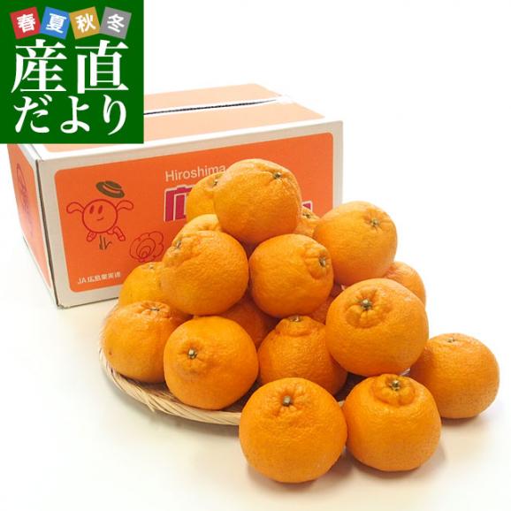 広島県産 JA三原せとだ「瀬戸田のしらぬひ」露地栽培 5キロ 赤秀 Lから２Lサイズ（20玉から24玉）　柑橘 かんきつ 不知火 しらぬい 市場スポット 送料無料