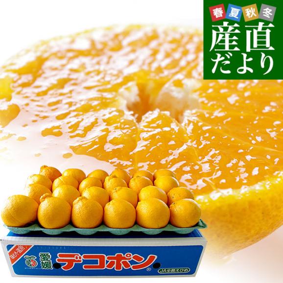 愛媛県 JAにしうわ デコポン 秀品 3LからLサイズ 5キロ（18玉から24玉前後）送料無料 でこぽん 柑橘 オレンジ 西宇和 八幡浜