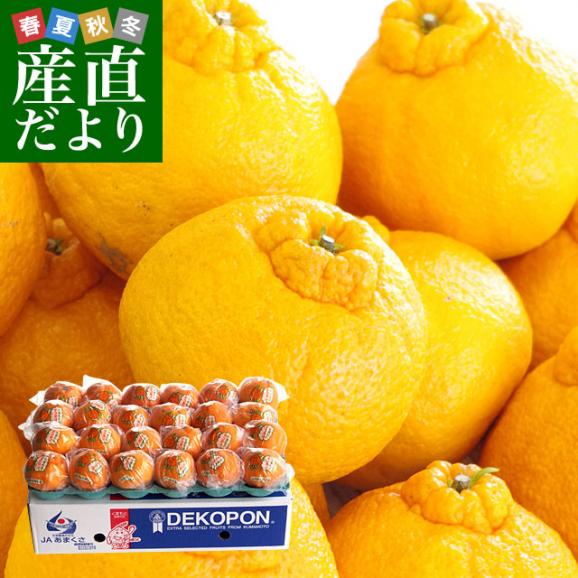 送料無料　熊本県産　JA熊本果実連　貯蔵デコポン　2LからL　5キロ（20玉から24玉） Pプラス鮮度保持袋入り　市場スポット