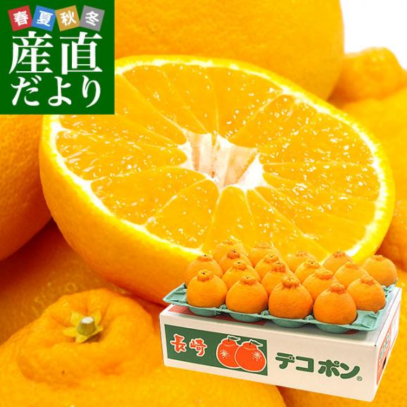 長崎県より産地直送 JA長崎せいひ ハウス栽培デコポン 優品  ５Ｌから２Ｌサイズ 5キロ (12玉から20玉) 送料無料  柑橘 かんきつ 2月発送商品