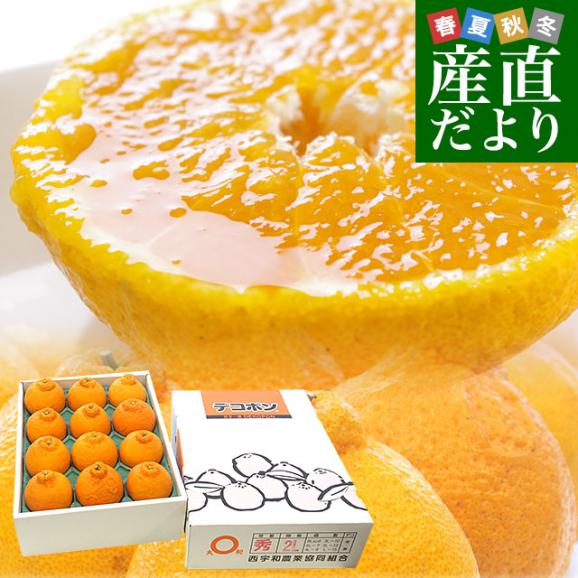 愛媛県直 JAにしうわ 貯蔵デコポン  2LからLサイズ 3キロ（12玉から15玉前後）送料無料 でこぽん 柑橘 オレンジ 西宇和