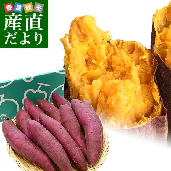 千葉県産　JAかとり　アヤコマチ　Mサイズ2.5キロ　10本前後　送料無料　さつまいも　サツマイモ　薩摩芋　にんじん芋　オレンジ芋　野菜　市場発送