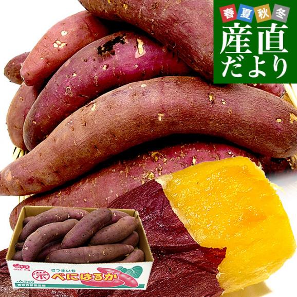 千葉県産 JAかとり 紅はるか BLサイズ 約5キロ 10本から13本前後（形不揃い） 送料無料 さつまいも サツマイモ 薩摩芋 新芋 市場発送