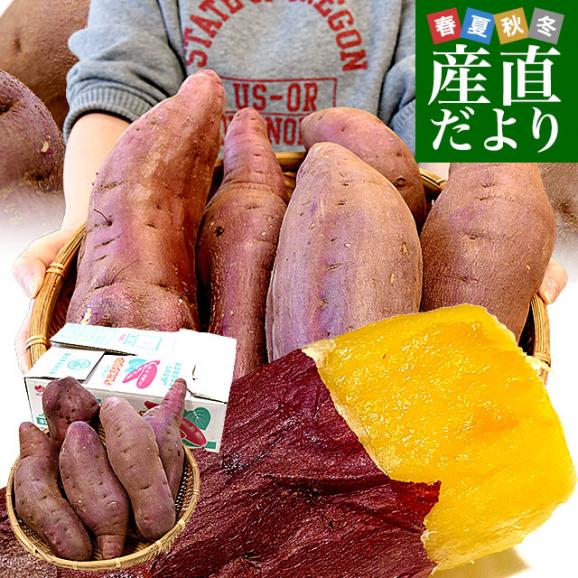 千葉県産 JAかとり 紅はるか B品 3Lサイズ 約5キロ(5～6本) 送料無料 さつまいも サツマイモ 薩摩芋 新芋 市場発送