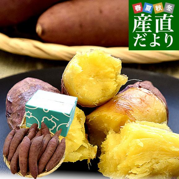 大分県産 JAおおいた 甘太くん Mサイズ 約2.5キロ（14本前後）送料無料 かんたくん サツマイモ 薩摩芋 甘藷 かんしょ 紅はるか べにはるか